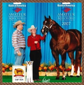 Horses  