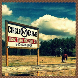 Circle M Farms