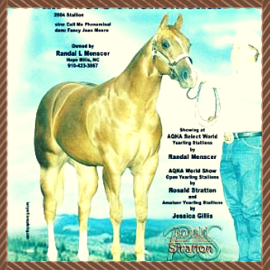 Horses  