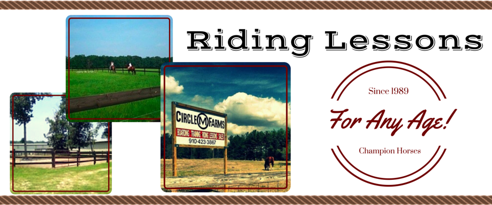 riding lessons graphic
